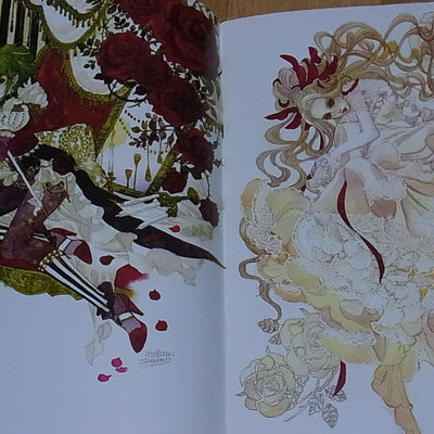 Sakizo & Japanese Illustrators Saga Series Fan Art Book Parade 