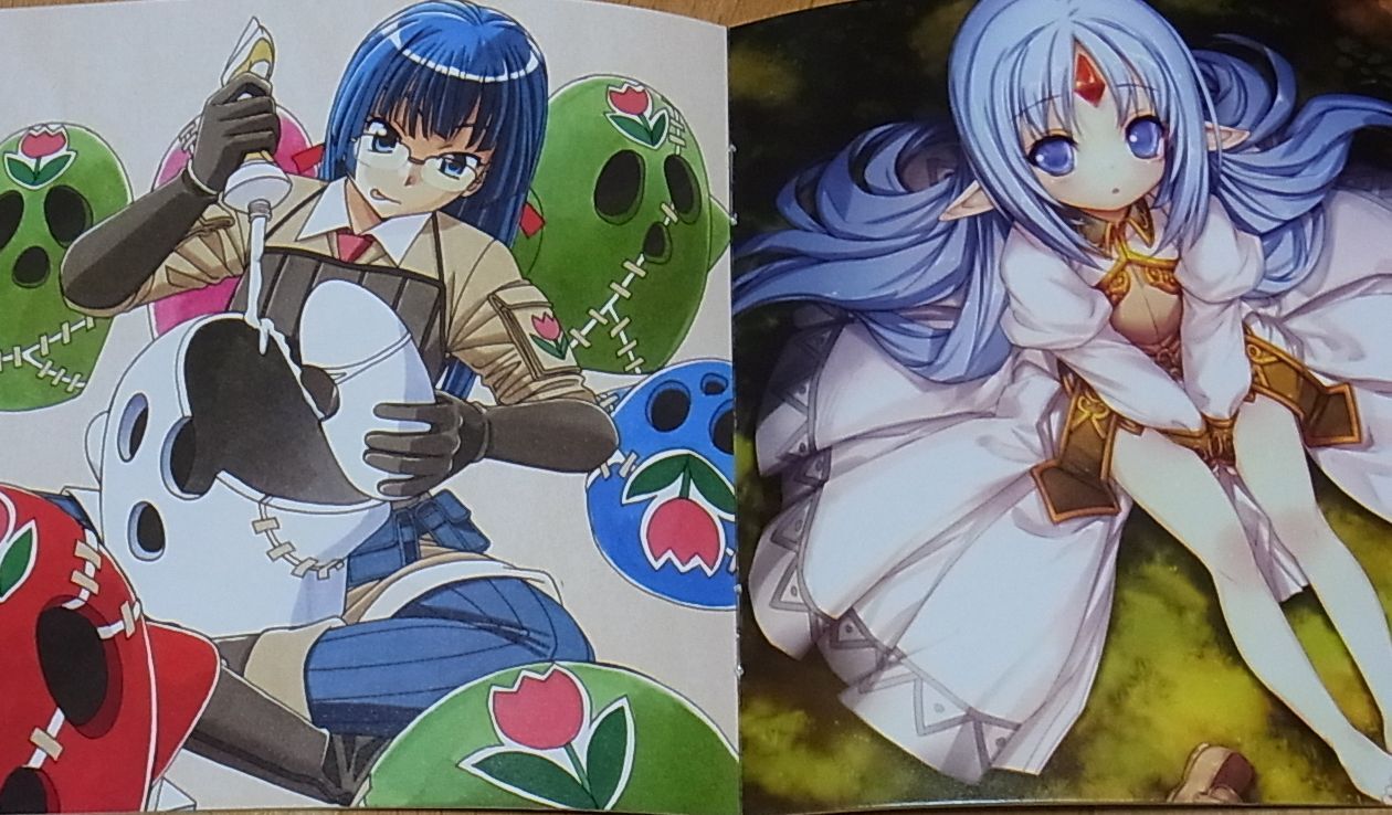 Alice Soft Rance 10 Kessen Privilege OST CD & Official Fan Art Book 