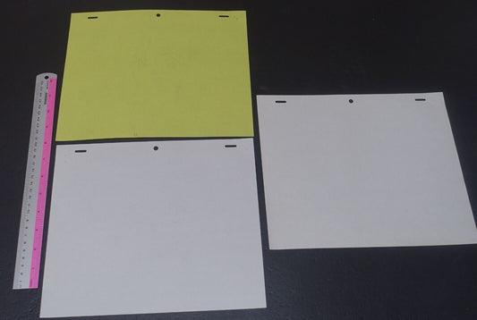 Raw Key Frame & Rayout Art Sheet Outlaw Star Melfina Japanese Animation 