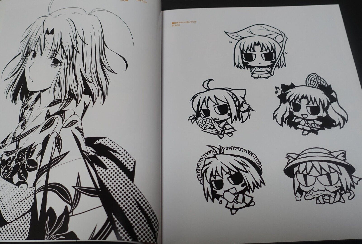 TYPE-MOON Products Art Work Book CONCEPT2 Fate FGO Tsukihime etc C100 