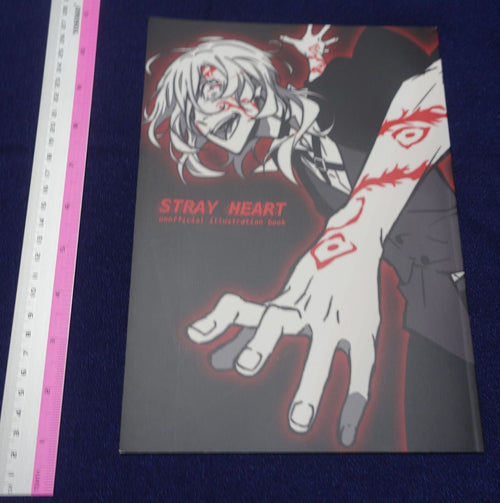 Kohei Tokuoka Bungo Stray Dogs Art Director's Fan Art Book STRAY HEART 