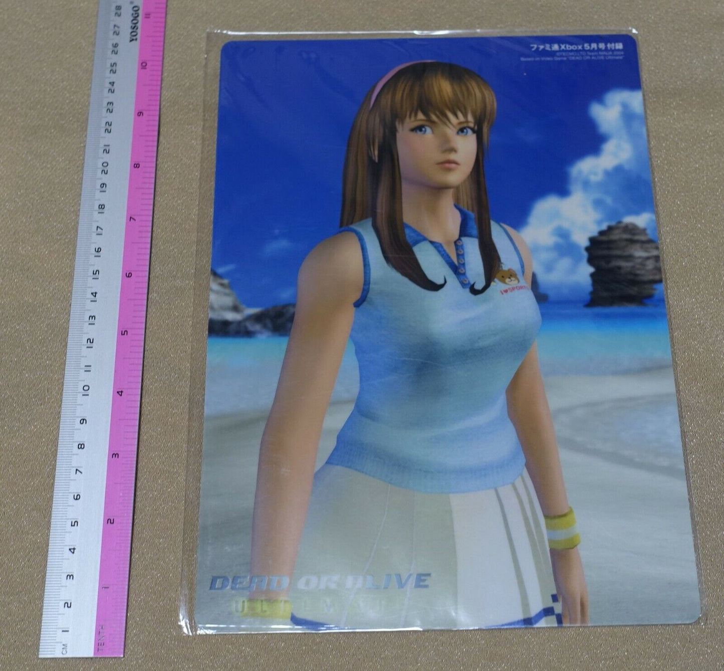 Dead or Alive ULTIMATE PVC Reversible Art Board Hitomi & SPIKEOUT 