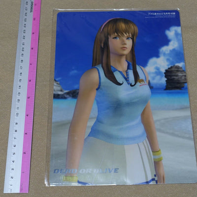 Dead or Alive ULTIMATE PVC Reversible Art Board Hitomi & SPIKEOUT 