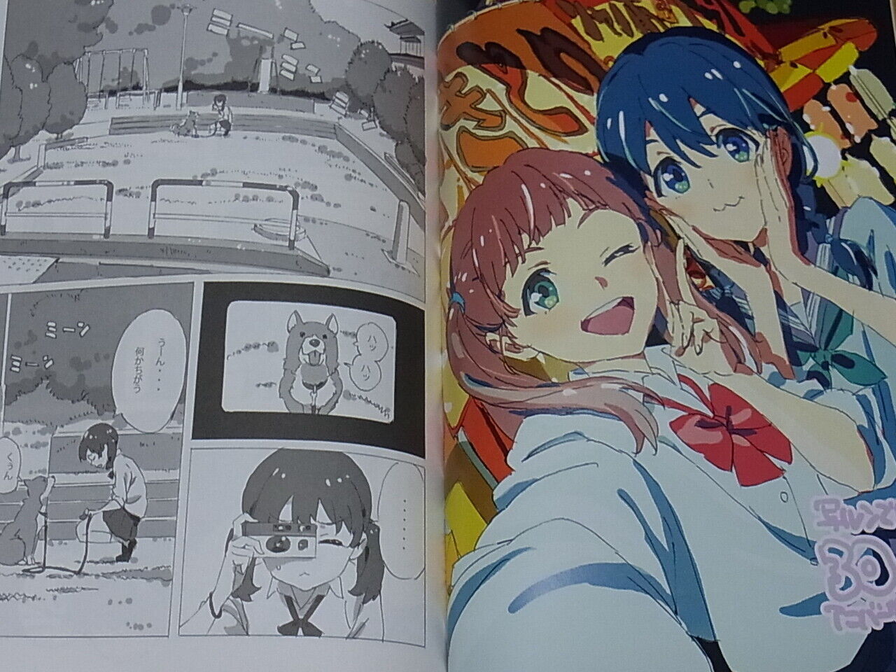 Sunao Chikaoka Disposable camera & Girl Illustration Art & Comic Doujinshi 
