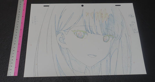 SSSS.GRIDMAN Reproduction Key Frame Art Sheet Rikka B 