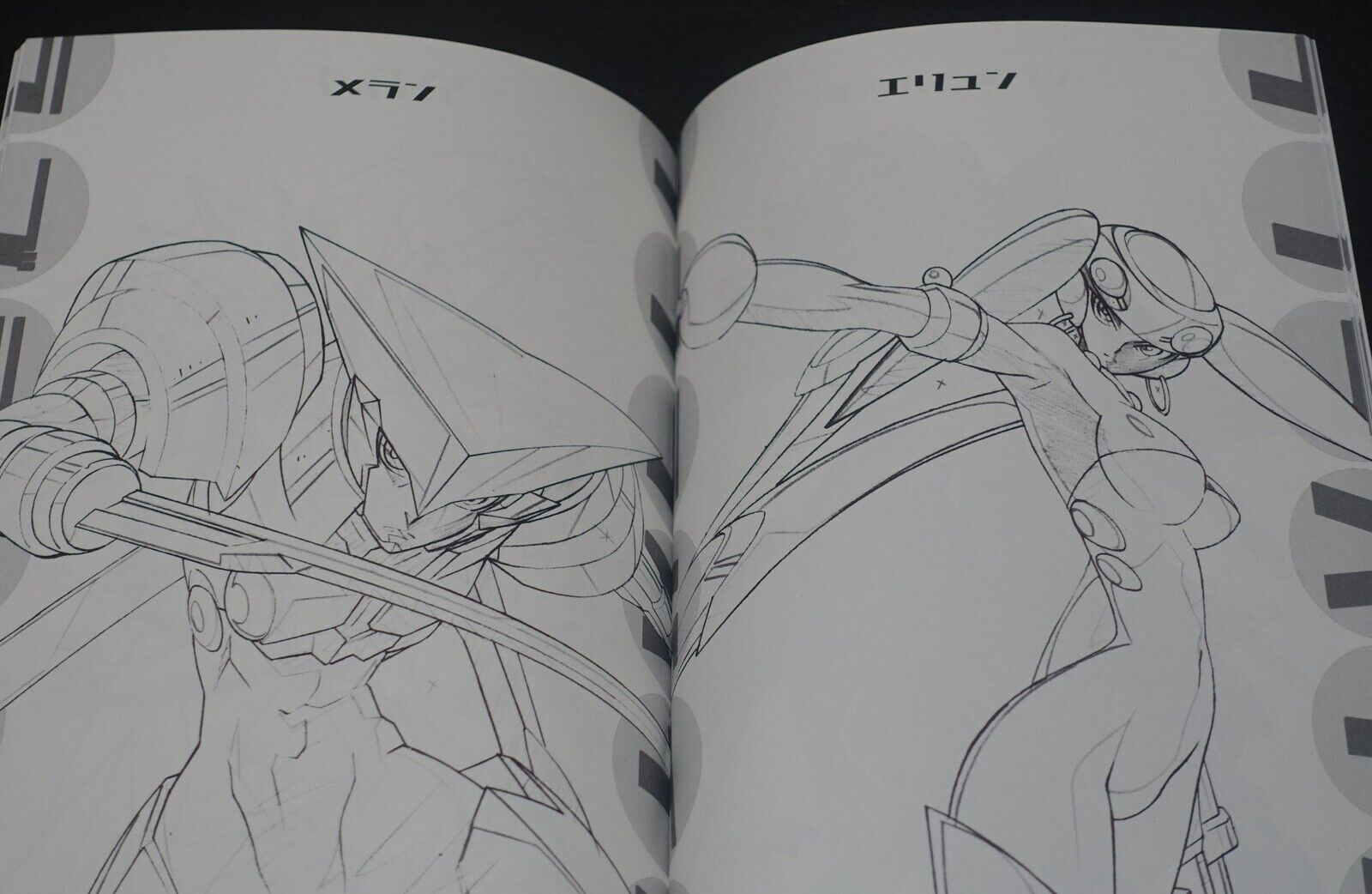 Rihiro Yamane Animation Work Book Lovelaviver C102 