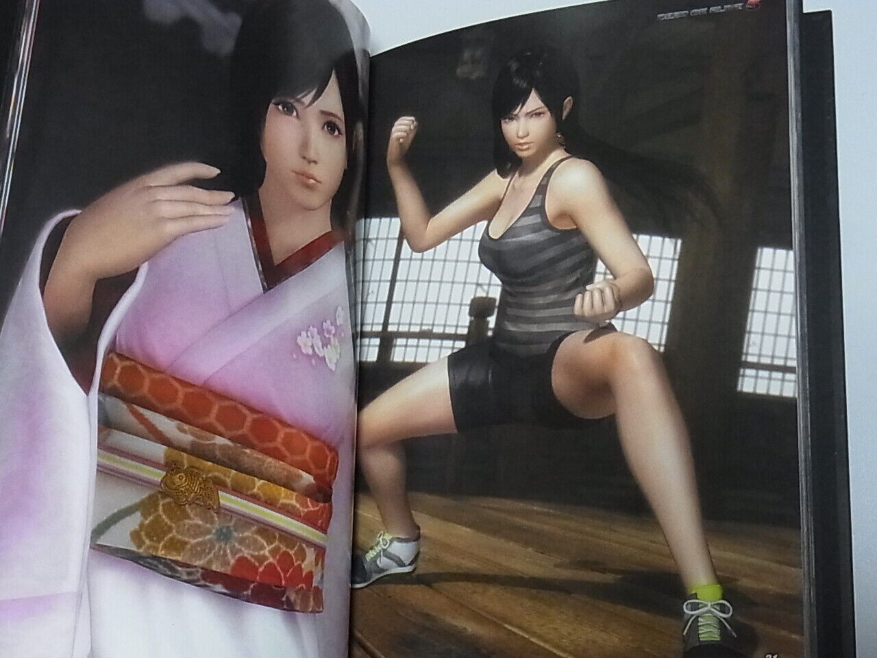 TECMO Team NINJA Dead Or Alive 5 ART BOOK HARD COVER 