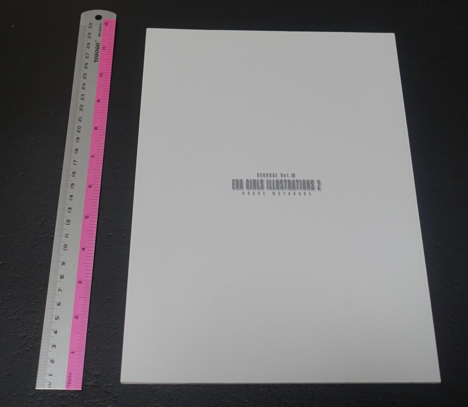 Castlism EVANGELION Fan Art Book EVA GIRLS ILLUSTRATIONS 2 