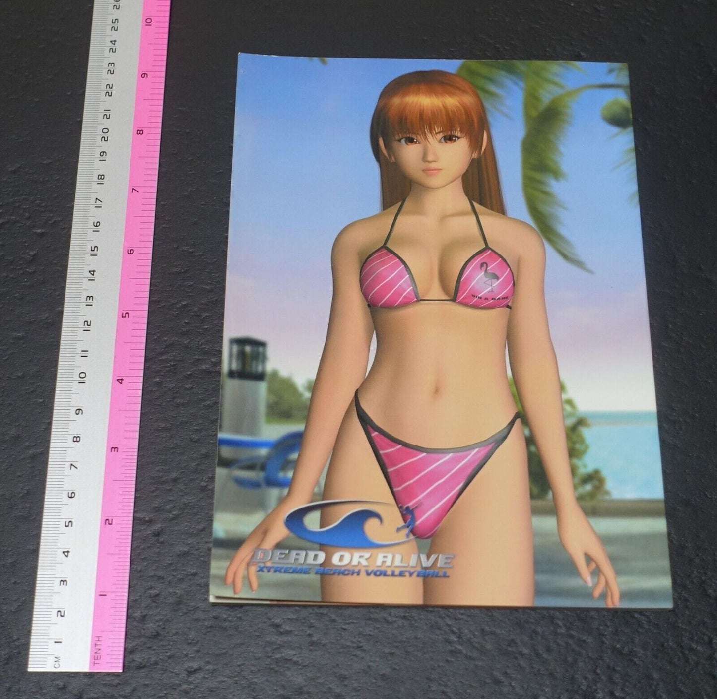 Dead Or Alive Xtreme DOA Characters Swim Suit Art Book 