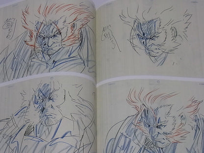 JUNICHI HAYAMA COLLECTION OF ANIMATIONS X-MEN BLADE & SOUL Casshern Sins C95 