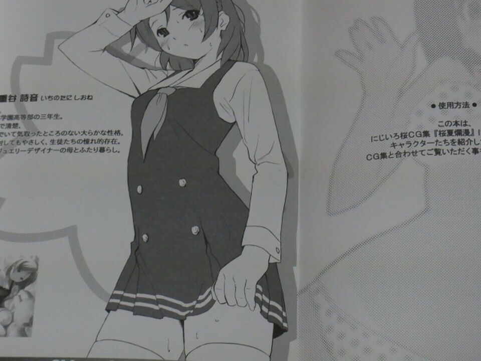Koutaro Illustration Art Book Oukaranman Omake Book 
