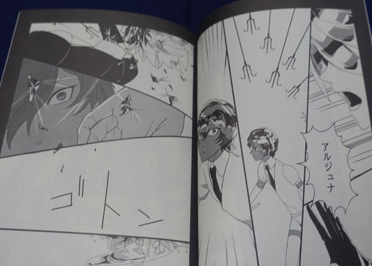 Chidori Houseki no Kuni Land of the Lustrous Fan Made Comic corundum 