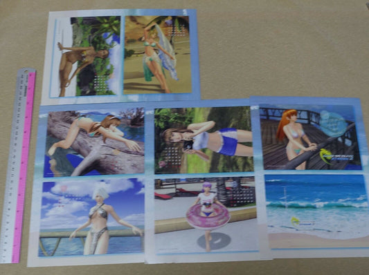 Dead Or Alive Xtreme Desk Calendar Card 