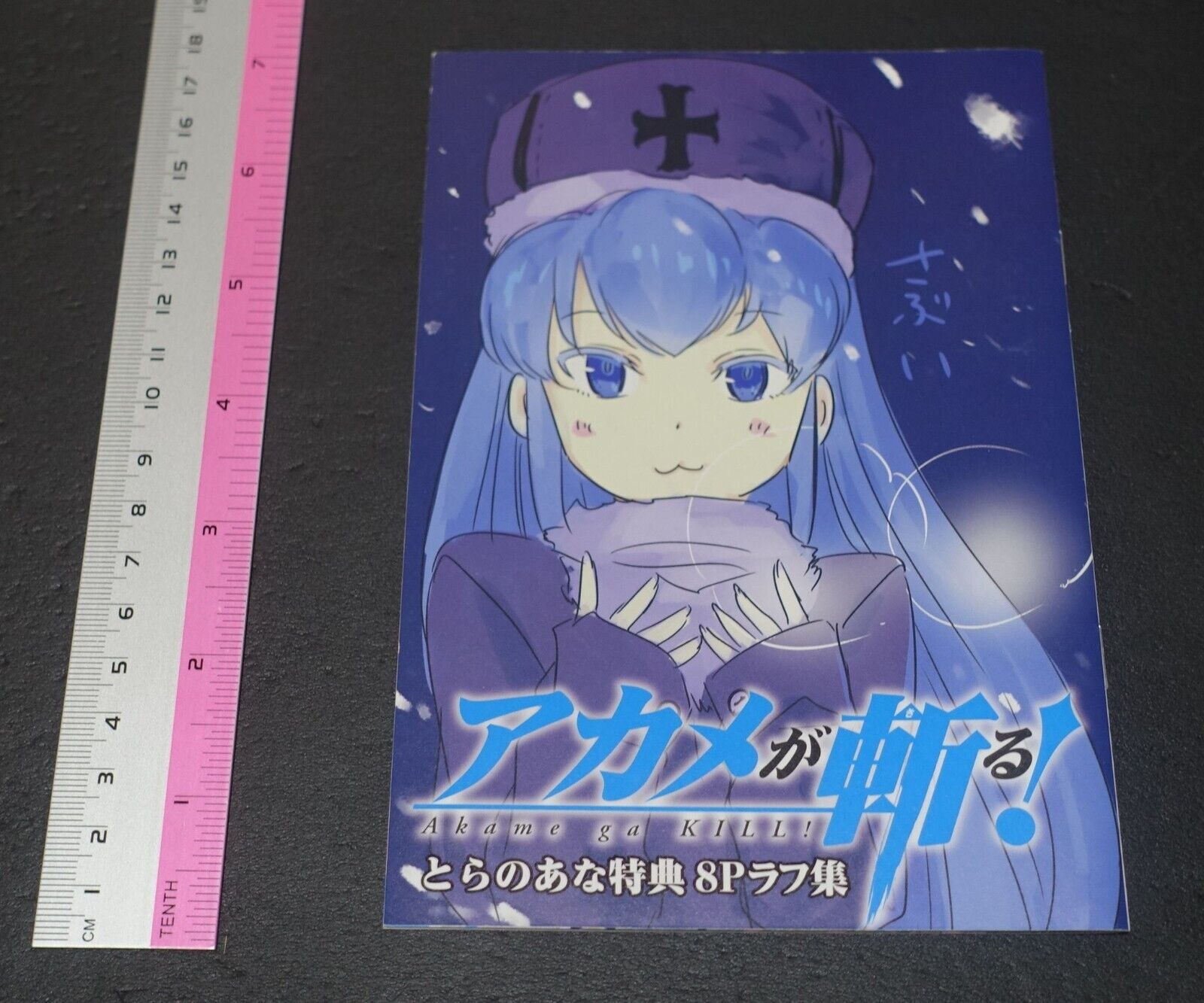 Tetsuya Tashiro Akame ga Kill! Rought Illustration Art Mini Booklet B 8page 