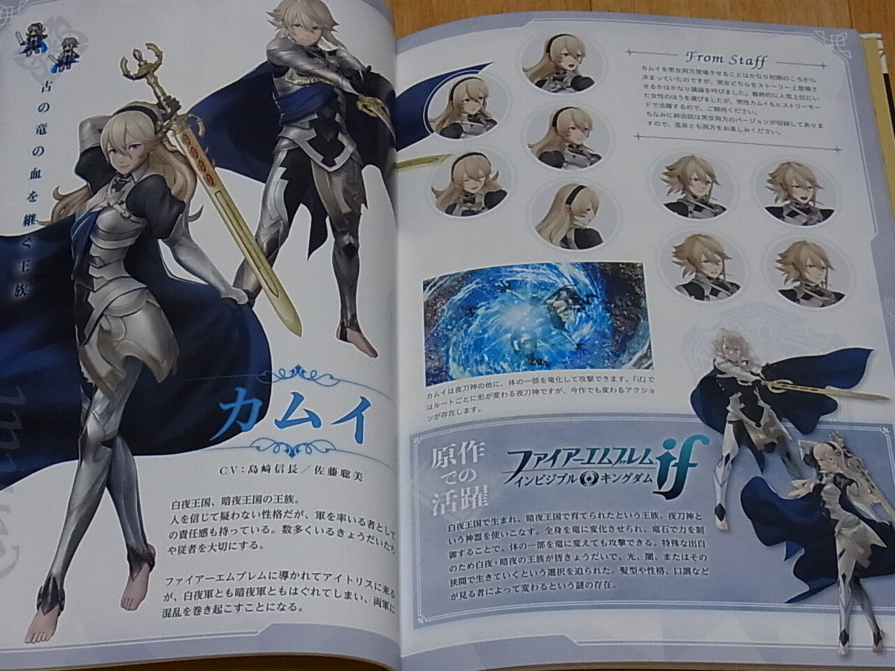 Fire Emblem Musou Setting Art Hard Cover Book 80page Warriors 