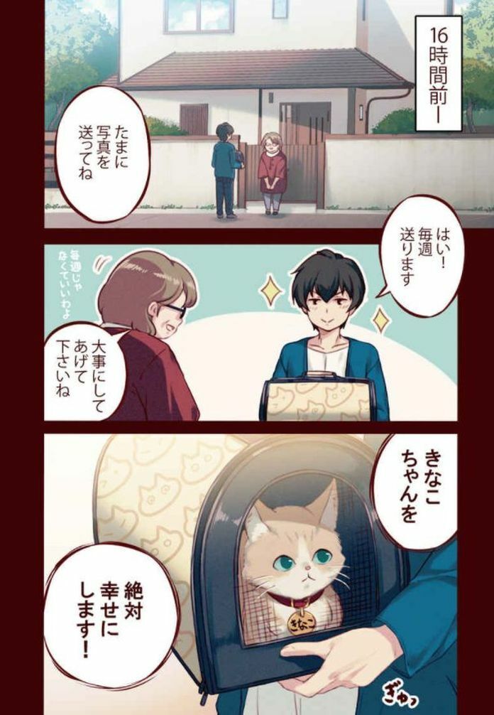 Animal Machine Original Color Comic My Cat is a Kawaii Girl Air Comike2 