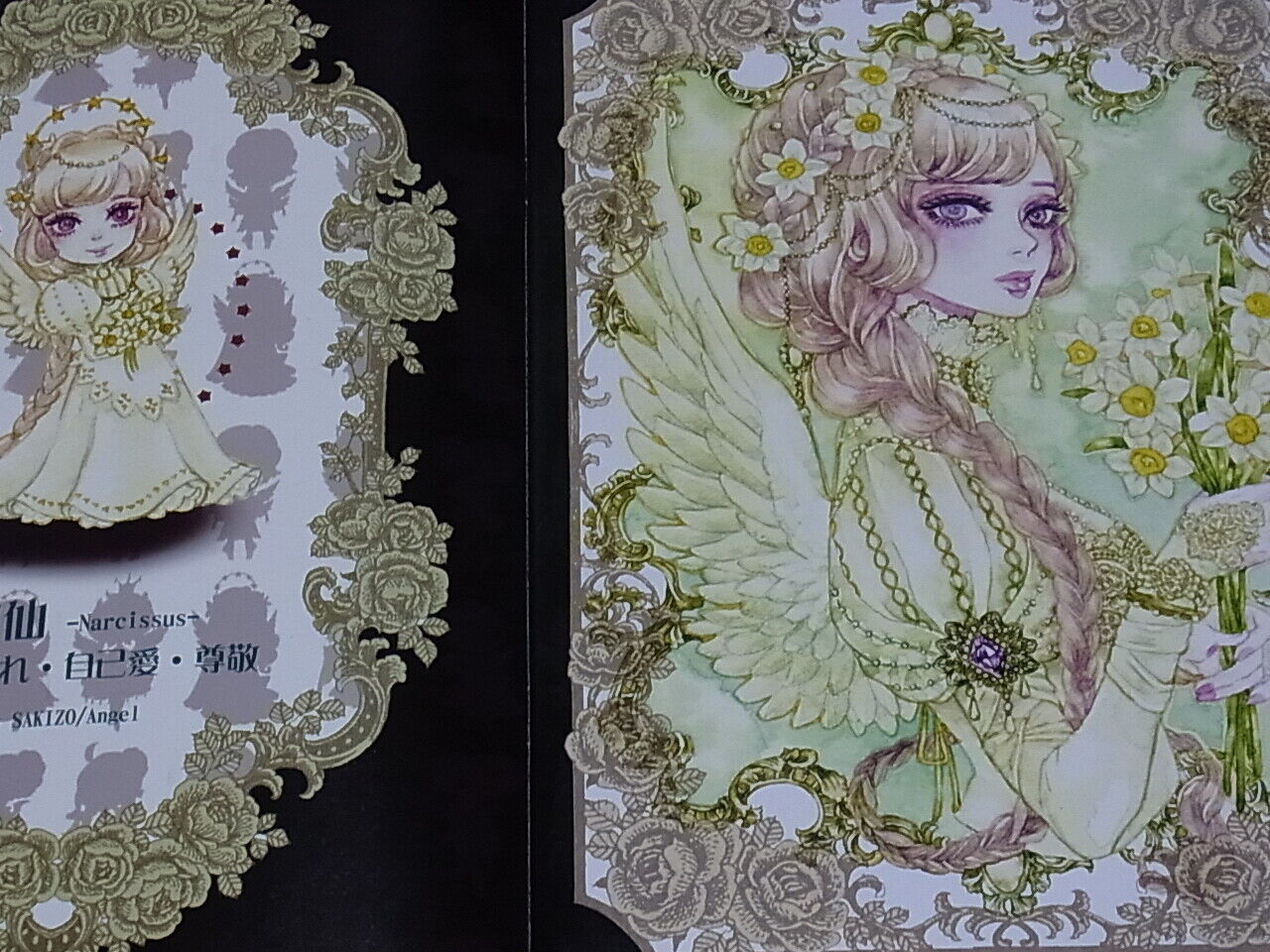 Sakizou & KARASU Color Illustration Art Book Hanamuke Sakizo 