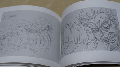 RYOJI NAKAMORI WORKS 2009-2011 HELLSING 7-11 Key Frame art collection book 