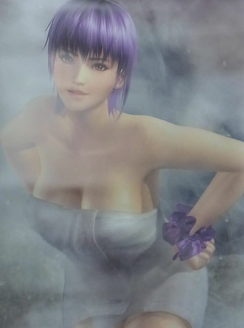 DEAD OR ALIVE 5 Last Round B2 SIZE Bath Room POSTER Ayane DOA5 