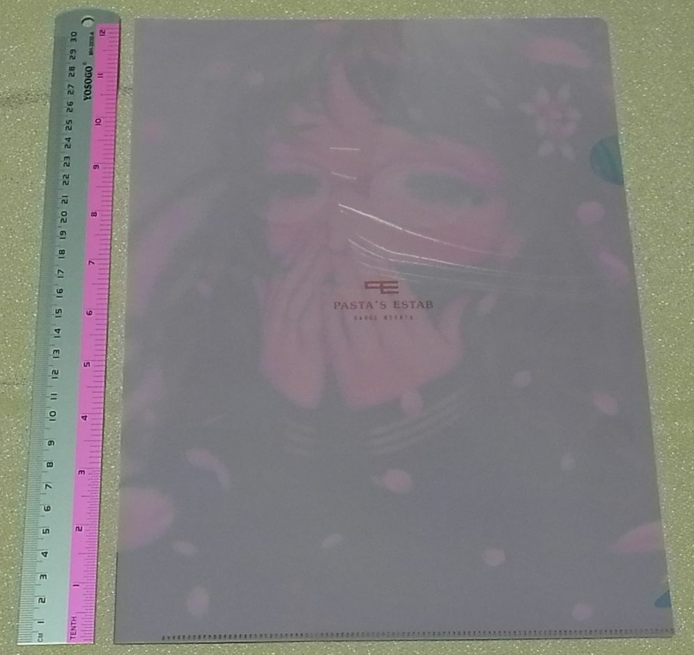 RANGE MURATA Color Art Clear File Girl wearing glasses 