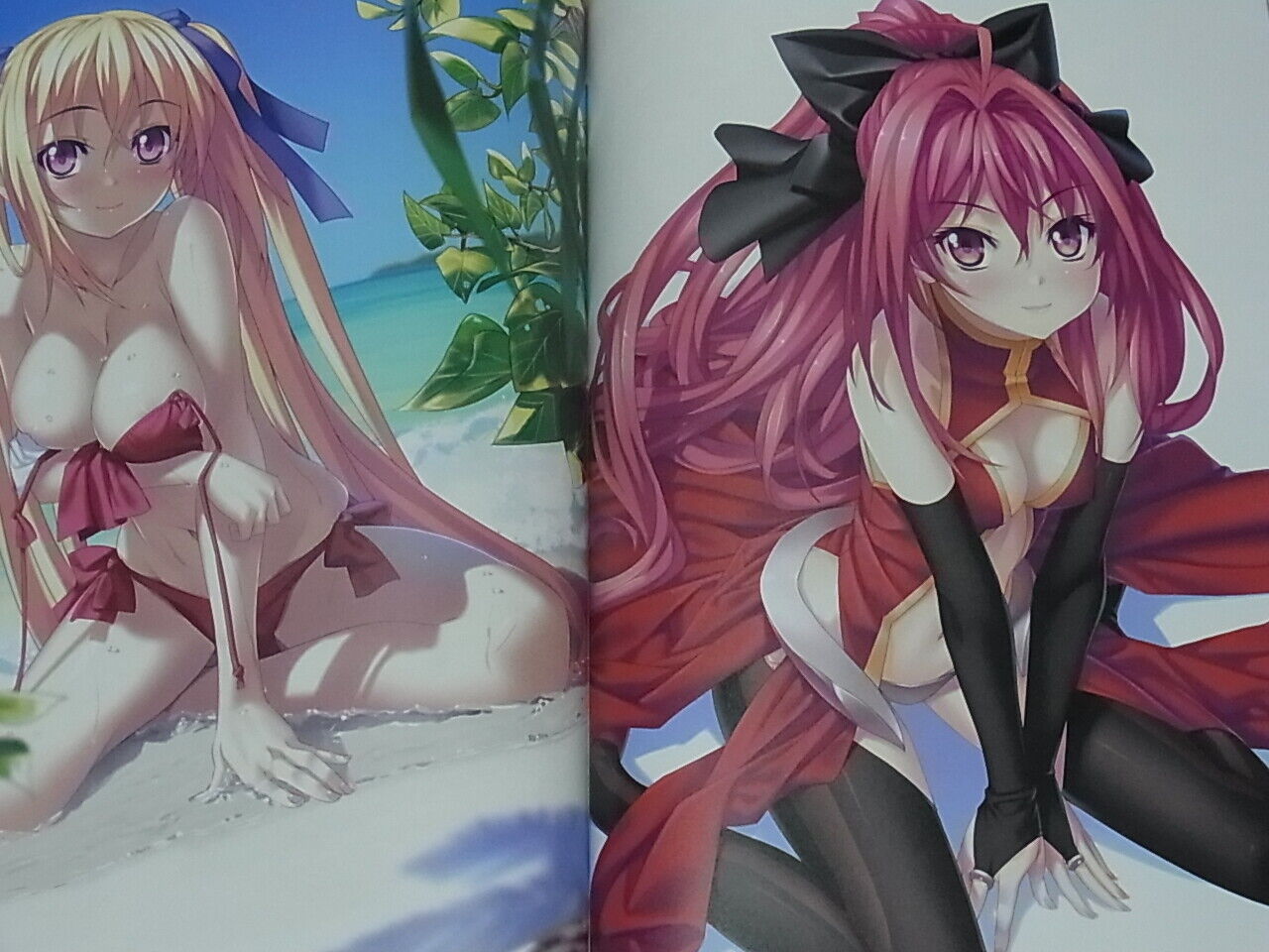 Nobol Kannatsuki Color Art Book ensemble polyphonica 