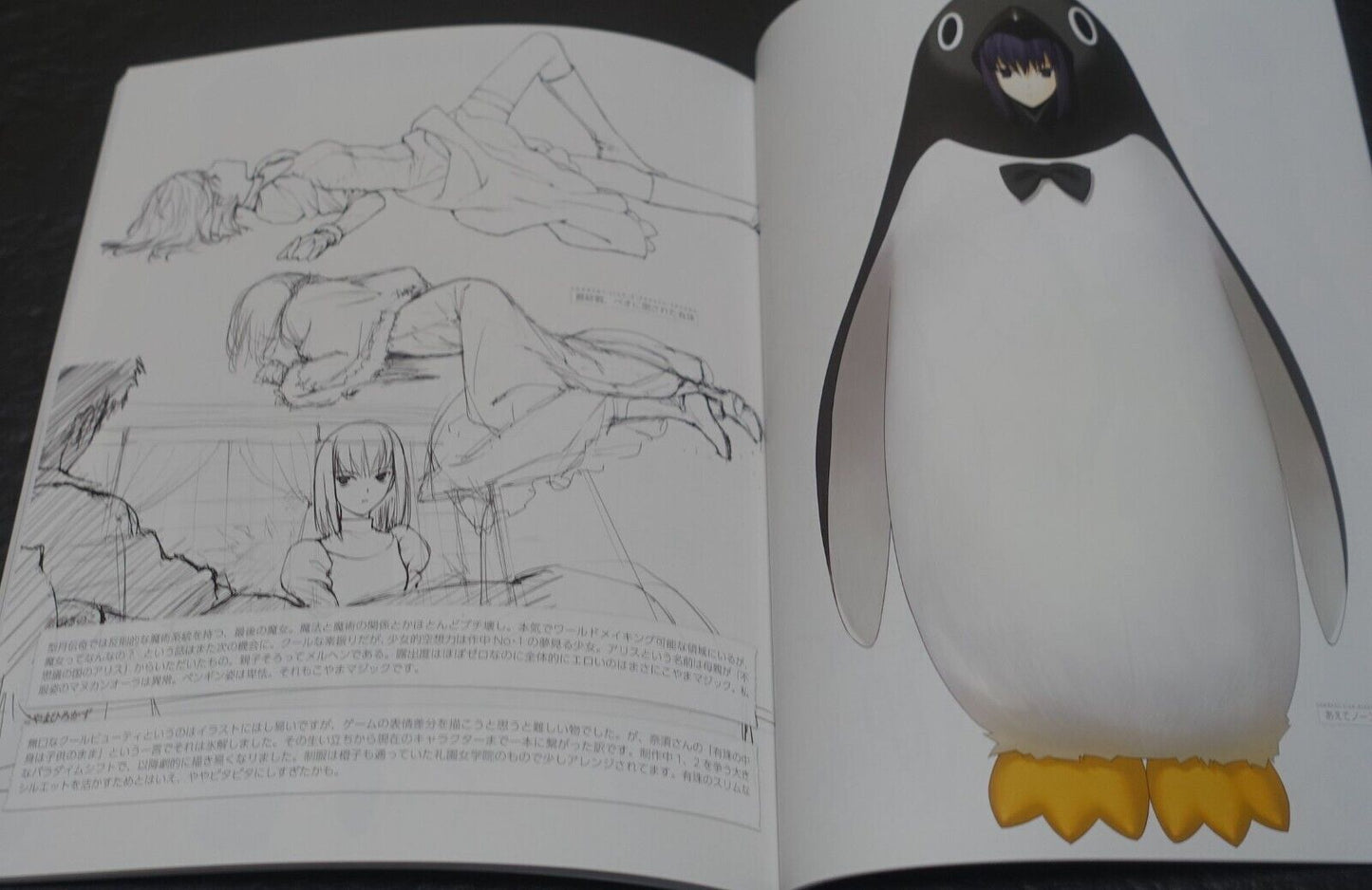 SWITCH Witch on the Holy Night Mahotsukai no Yoru Limited Edition 