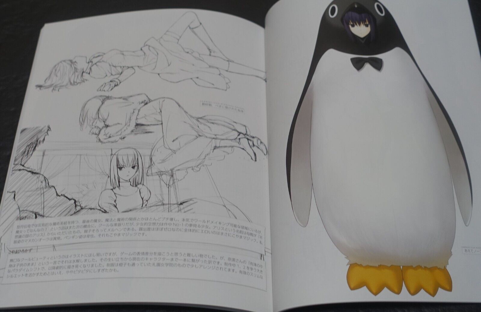 SWITCH Witch on the Holy Night Mahotsukai no Yoru Limited Edition 