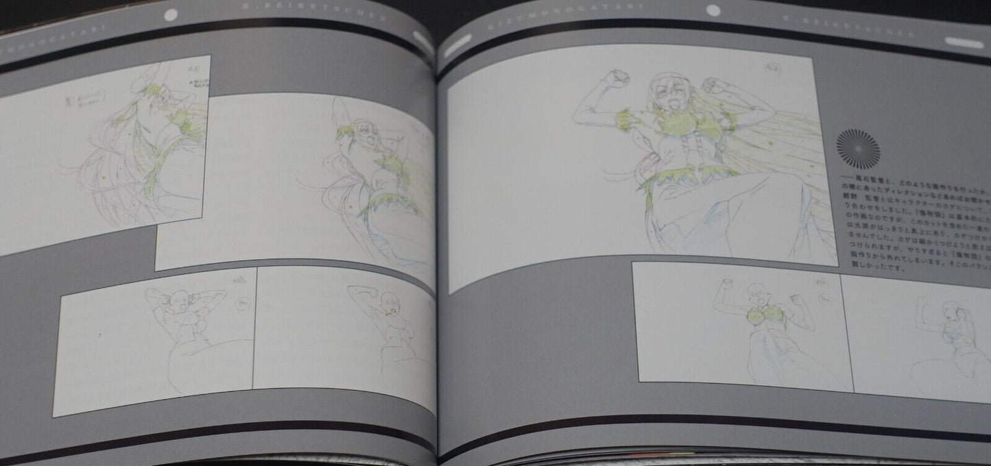 Kizumonogatari 3 Reiketsuhen Booklet Staff Interview Visual Key Frame Art 