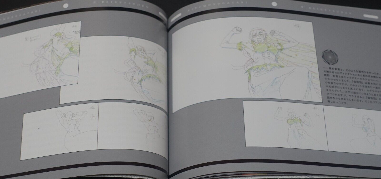 Kizumonogatari 3 Reiketsuhen Booklet Staff Interview Visual Key Frame Art 