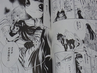 Strawberry Flash Mutsumi Inomata Alexion Saga Illustration & Novel Book 