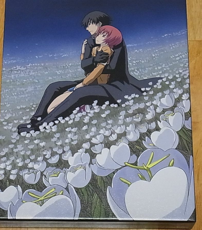 DARKER THAN BLACK Gemini of the Meteor Blu-ray vol.8 