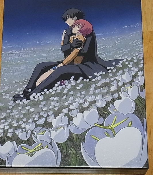 DARKER THAN BLACK Gemini of the Meteor Blu-ray vol.8 