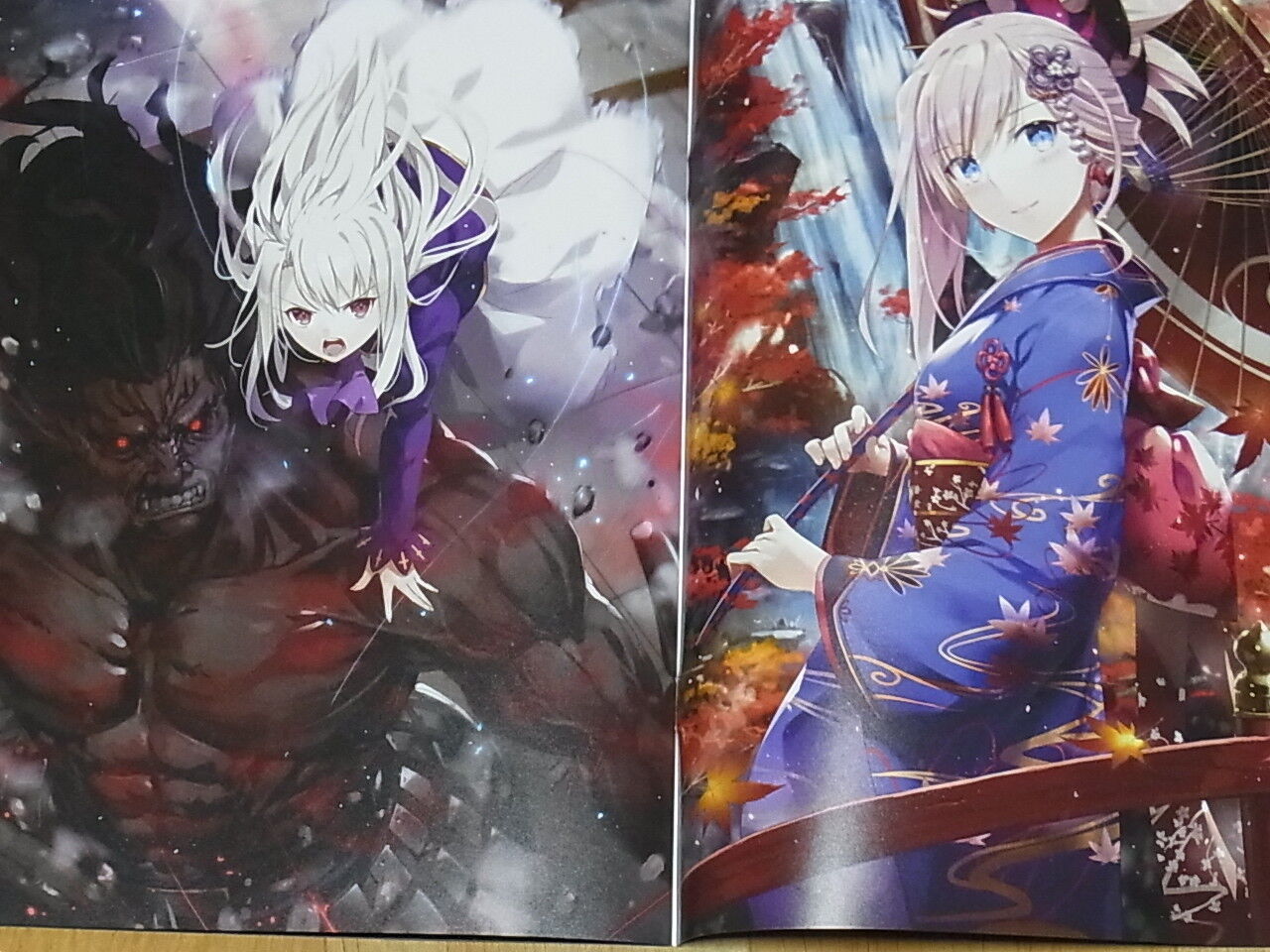 Debuneko Fate FGO Color Fan Art & Sketch Book with 2 clear file set C95 