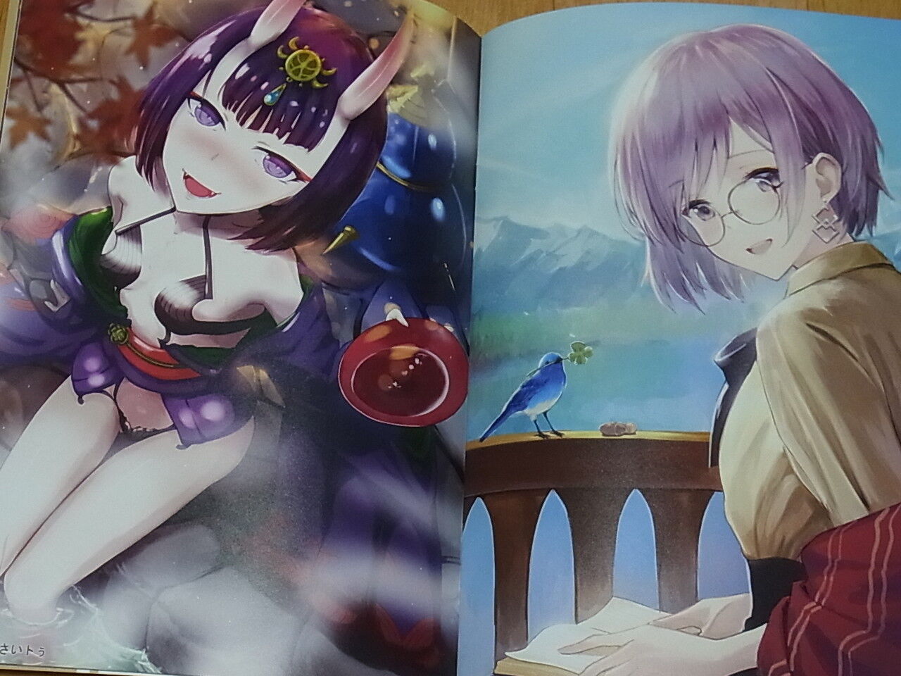 Debuneko Fate FGO Color Fan Art & Sketch Book with 2 clear file set C95 