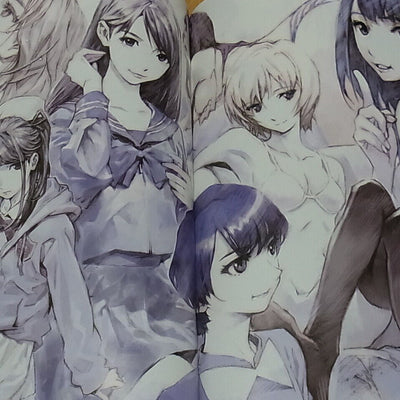 Yoshiyuki Sadamoto Color Art Doujinshi GRAPHITE4 with Clear File Very Rare C95 