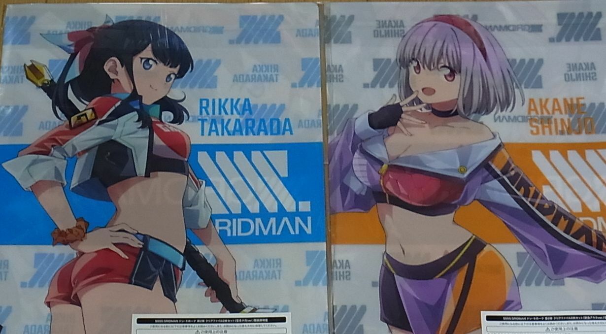 SSSS.GRIDMAN FULL Rikka & Akane Clear File 4 piece complete Set 