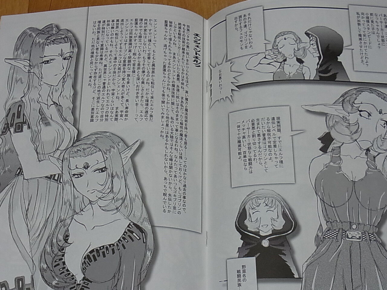 Tenchi Muyo Official Doujinshi Omatsuri zenjitsu no yoru Seikishi ver 18.12 C95 