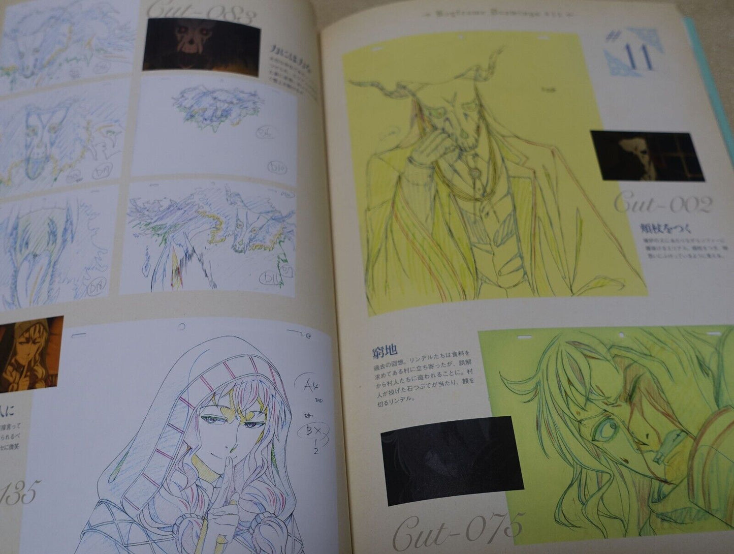 WIT STUDIO The Ancient Magus Bride Mahou Tsukai no Yome TV Animation Works 3rd 