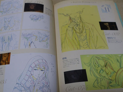 WIT STUDIO The Ancient Magus Bride Mahou Tsukai no Yome TV Animation Works 3rd 