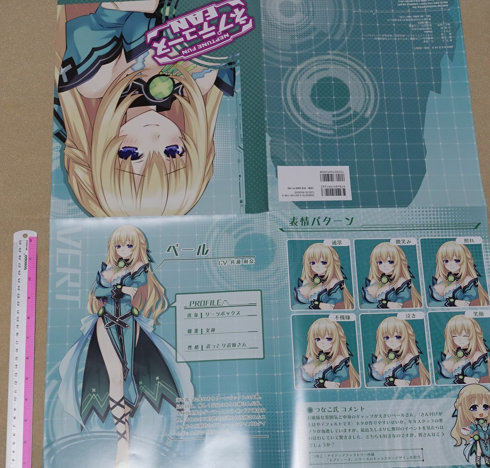 Hyperdimension Neptunia Folded Big Poster Vert 
