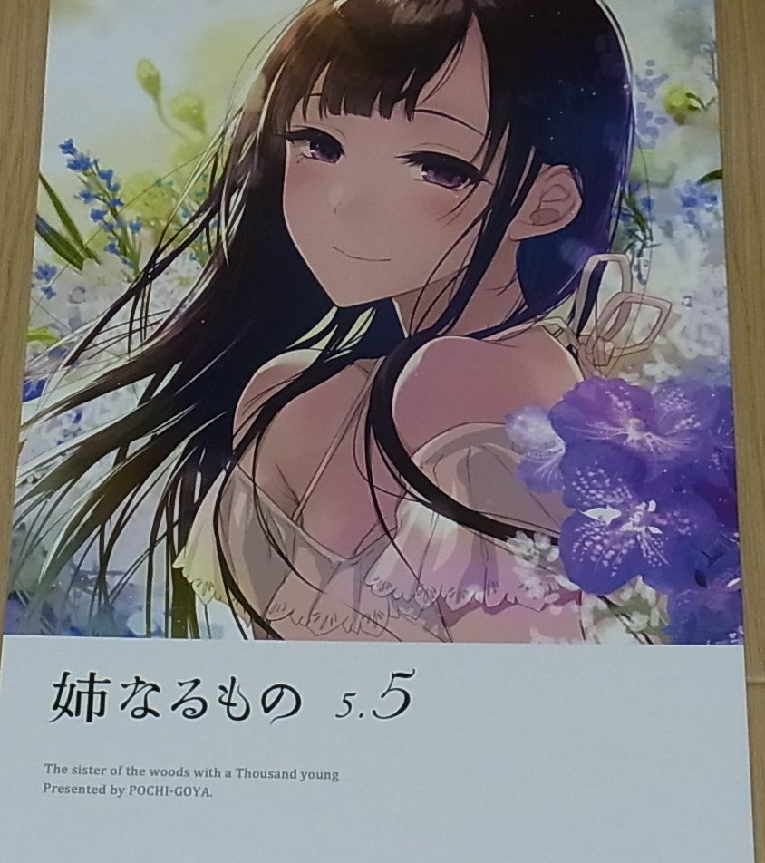 Pochi Iida The Elder Sister Like One Illustration Art Book Ane Naru Mono 5.5 