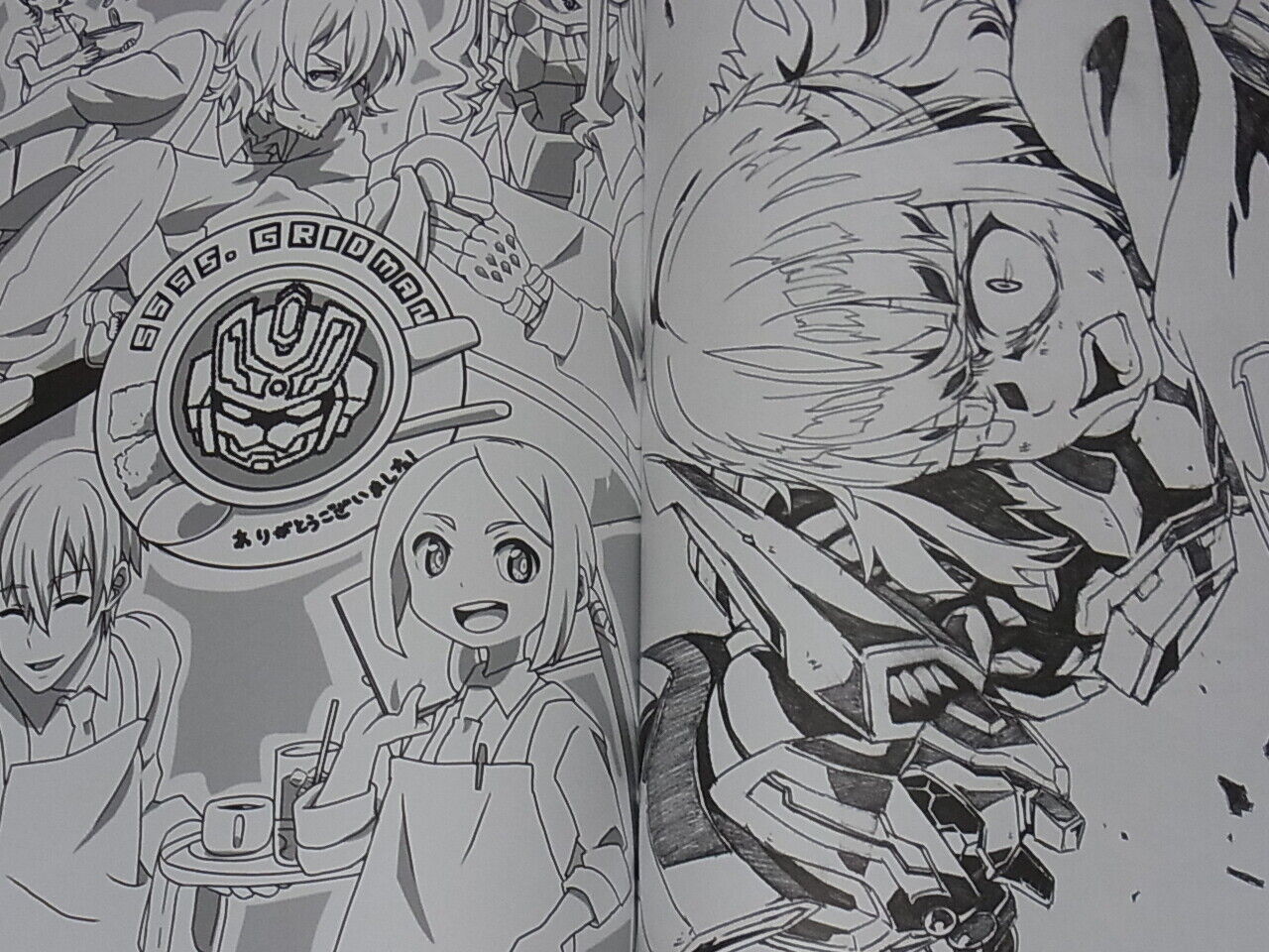 SSSS.GRIDMAN Official Staff Fan Art Book C95 