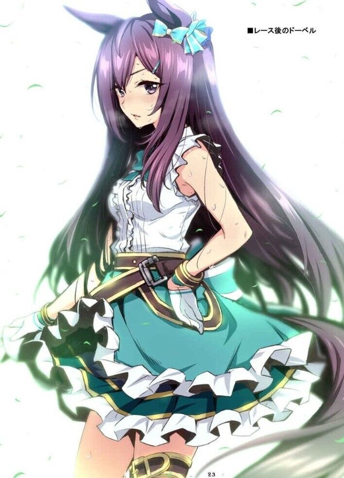 Metamorphose Uma Musume Fan Art & Comic Book Turimusume Vol.1 