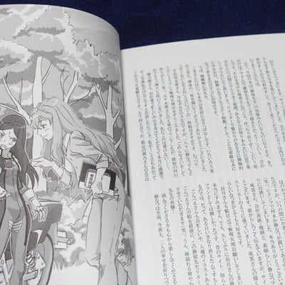 Mai-Hime Natsuki & Shizuru Fan Art , Comic , Novel Book Teacher Shizuru Returns 