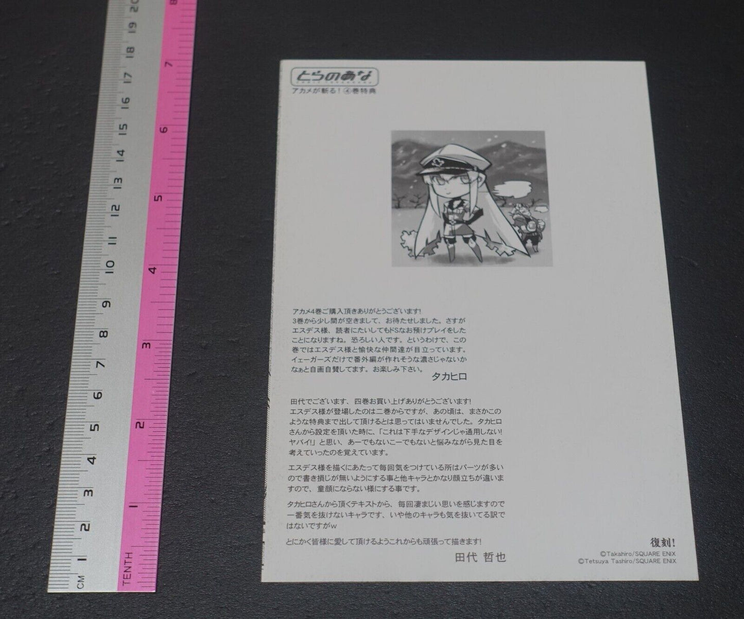 Tetsuya Tashiro Akame ga Kill! Esdeath Rough Design Art Booklet 4page 