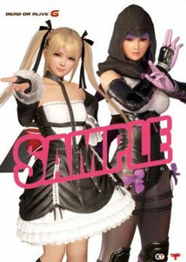 DEAD OR ALIVE 6 Marie Rose & Ayane B2 Size Tapestry Wall Scroll DOA6 