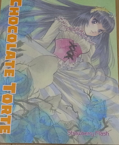 Strawberry Flash Mutsumi Inomata Alexion Saga Illustration & Novel Book 