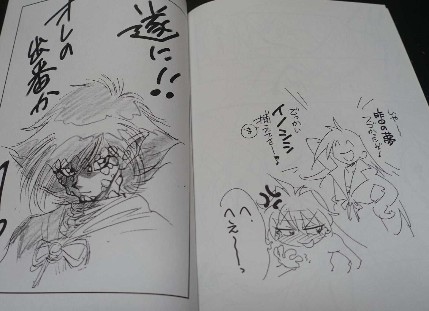 Rui Araizumi Slayers Designer's Fan Made Comic Rui Rui Tei Nyu4 
