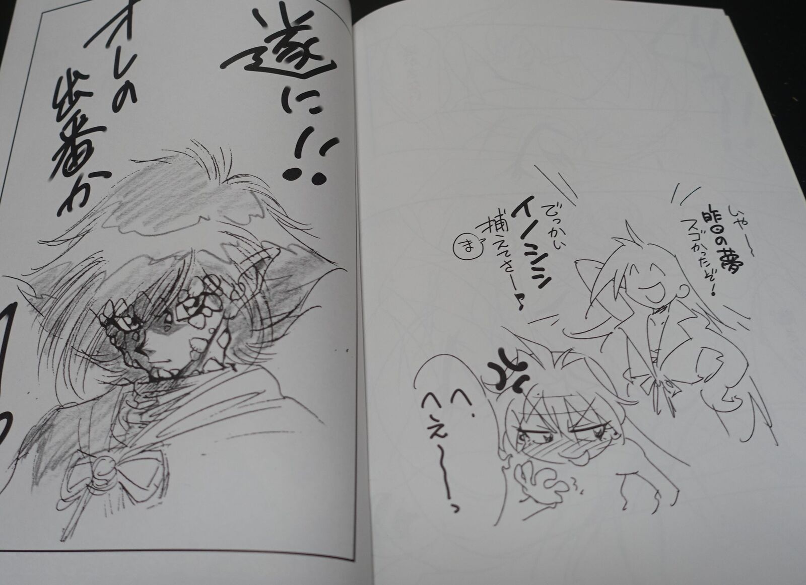 Rui Araizumi Slayers Designer's Fan Made Comic Rui Rui Tei Nyu4 