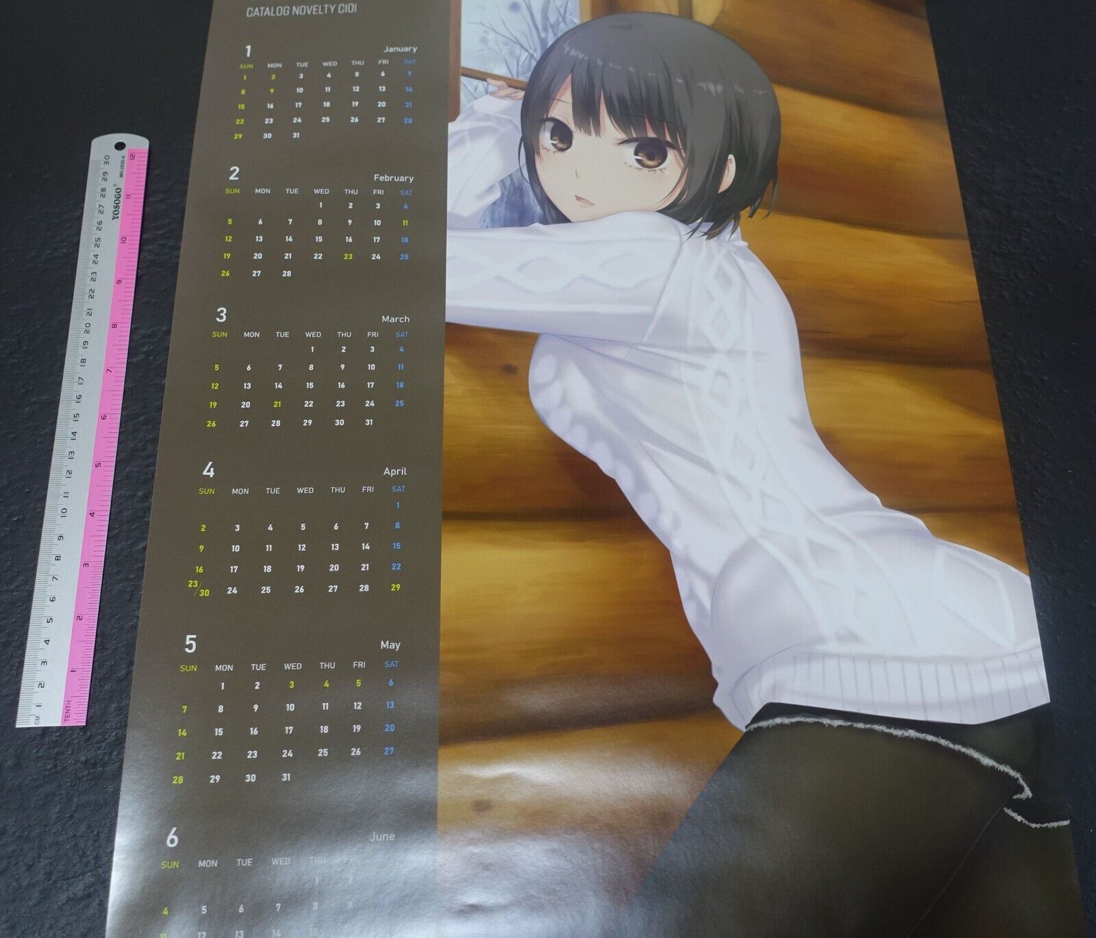 Melonbooks Comic Market 101 Art Book & Goods Set C101 